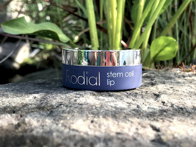 Rodial Review