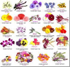 Month Flowers Chart