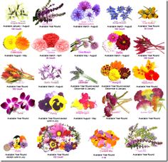 Flower Month Chart