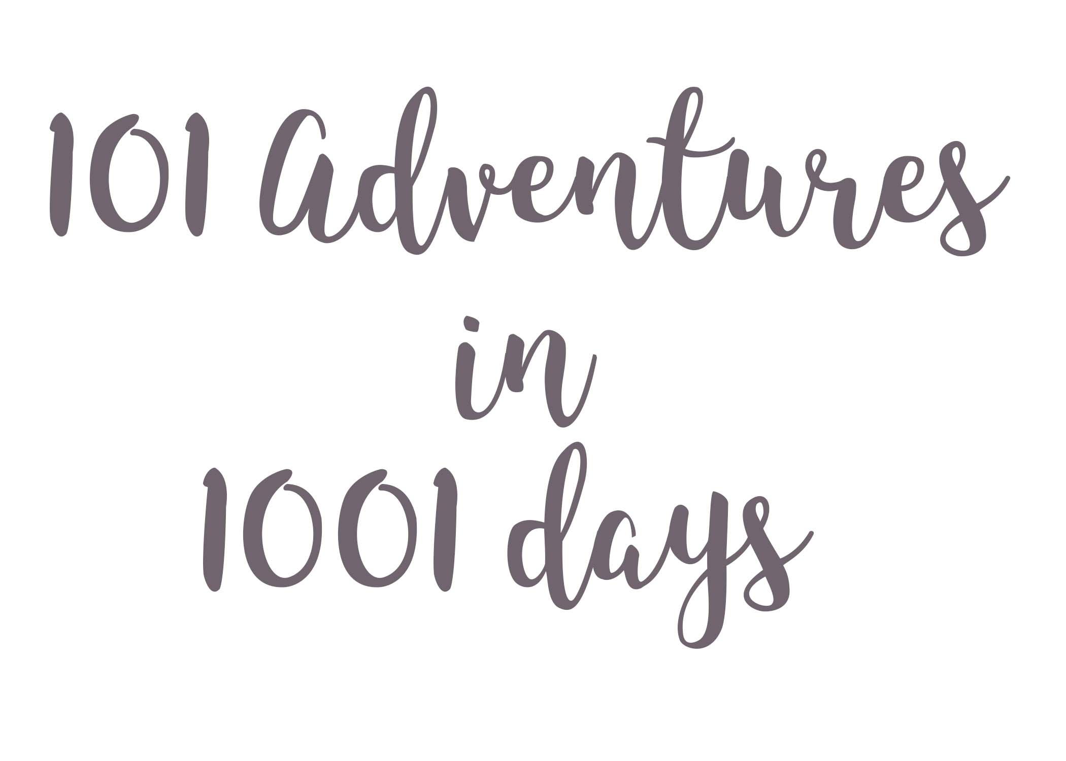 101 in 1001