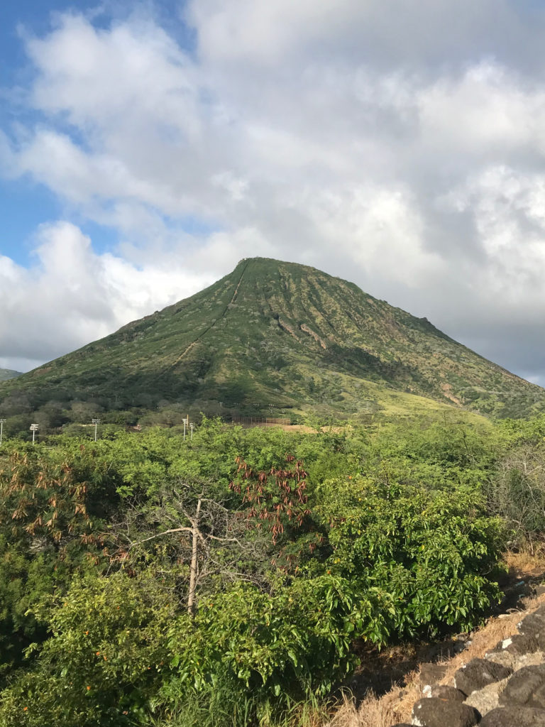 Ultimate Oahu Road Trip